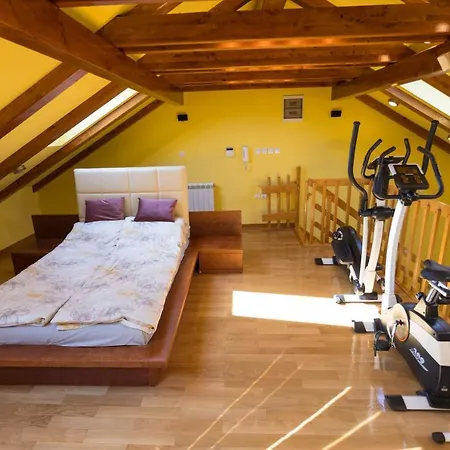 Antique * Sremska Mitrovica